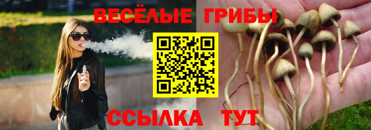 Псилоцибиновые грибы прущие грибы  наркотики  Котовск  Вход с VPN  Псилоцибиновые грибы Cubensis 