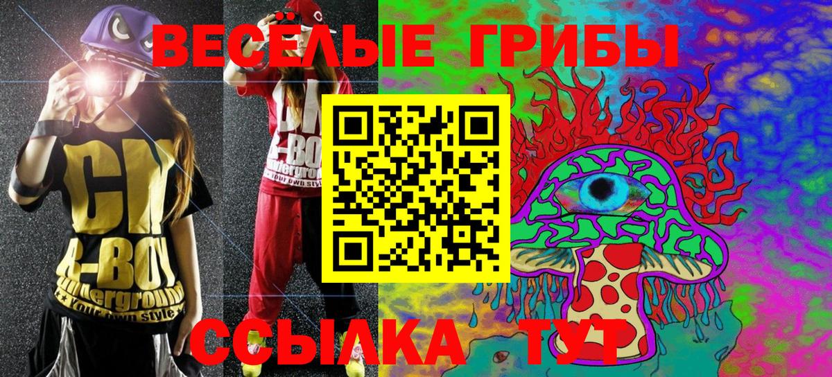 Галлюциногенные грибы Magic Shrooms Котовск